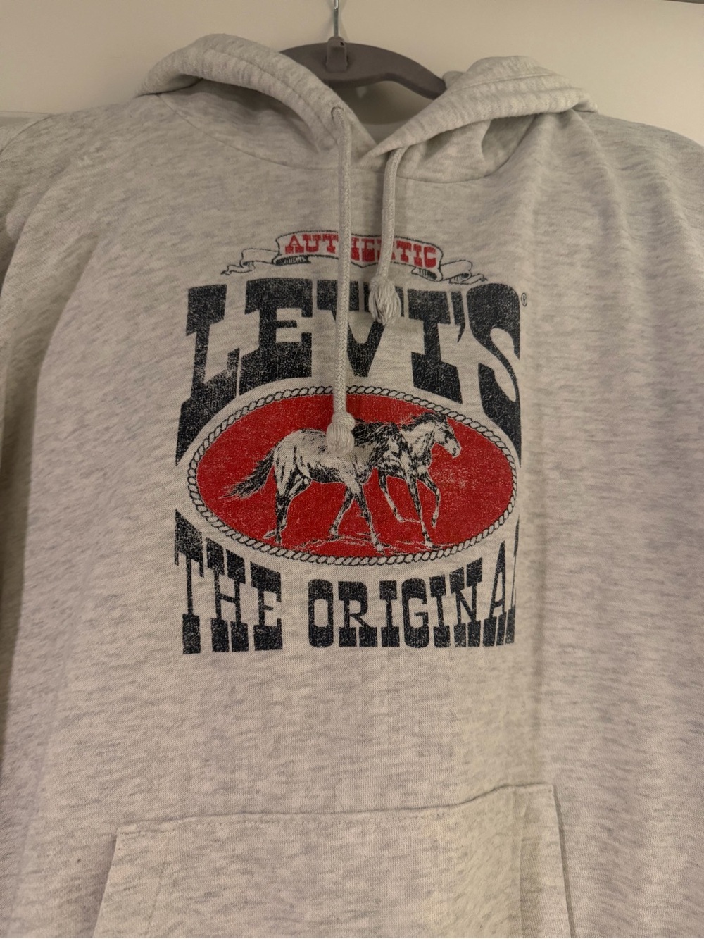 Levi’s authentic horse hoodie 🐎 - Picture 3 of 4